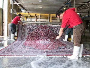 قالیشویی گلستان