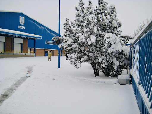 یونیلیور ایران