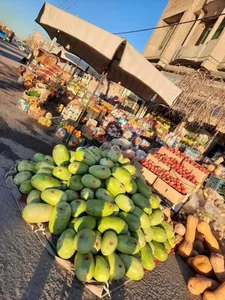 میوه سرای گلستان