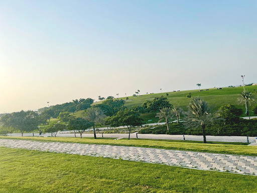Dareen Hill View Point