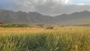تپه پلنگ
