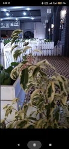 کافه رستوران تی شی نی 2