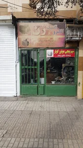 الکتروتکنیک ژن