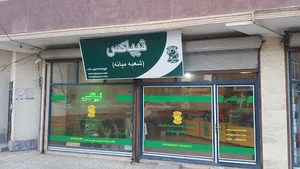 تیپاکس شعبه میانه