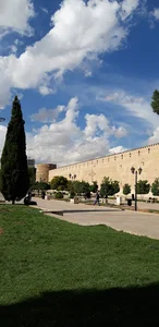 فضای سبز