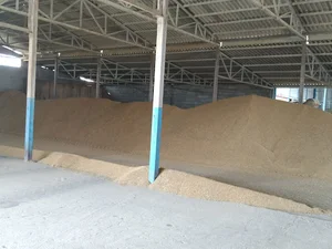 کارخانه و مجتمع تولیدی تکمیلی (چغامیش) برادران علوی