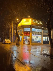 پروتئینی شوکا مرغ‌ ، ماهی و گوشت 4