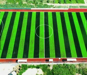 چمن مصنوعی باشگاه فرهنگی ورزشی معین