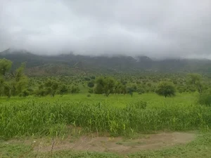 مسجد الصلل