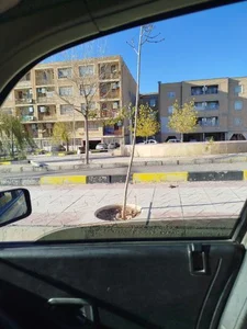 پارک 3