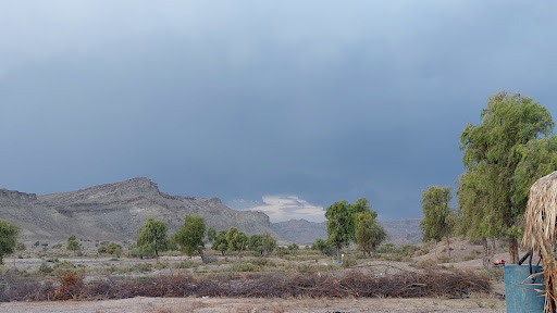 باغ