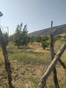ایوان غرب