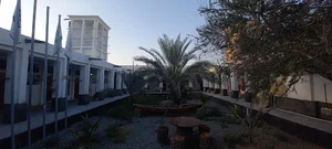 خانه رشید (اندیشگاه بندر کنگ)