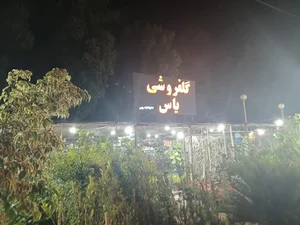 گل فروشی یاس