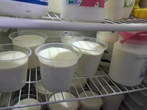 لبنیات اترینا 3
