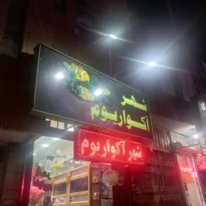 شهر آکواریوم 2