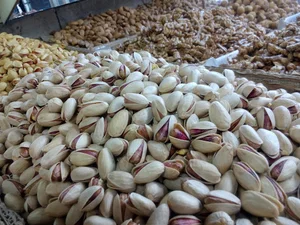 خشکبار عظیمی