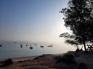 ساحل مرجان