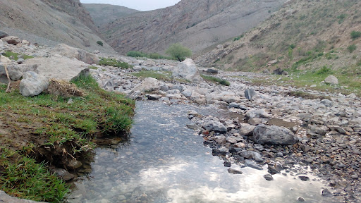 چشمه آب گرم