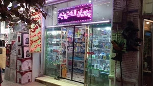 پویان الکترونیک