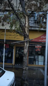 روناک فیلم 2