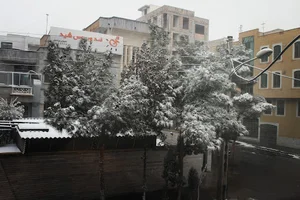 شرکت شید افزار رایانه