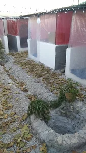 جگرسرای داش وحید