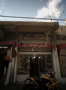 کفش دیانا