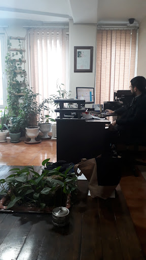 بیمه ایران نمایندگی موسی الرضا