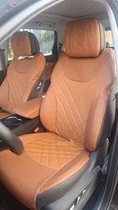 روکش علیزاده 2