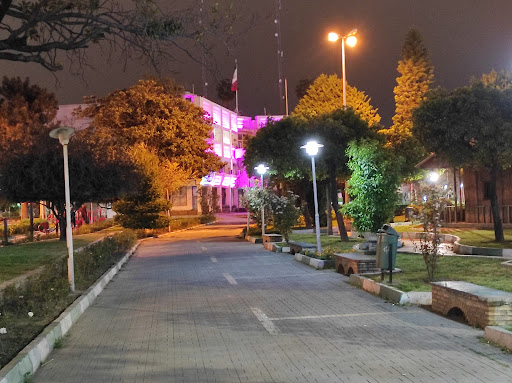 پارک شهرداری (باغ ملی)