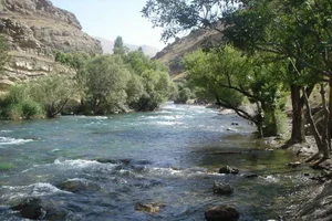 عطاری مقصودی