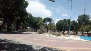 پارک شهرداری 4