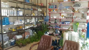 فروشگاه رویال استخر