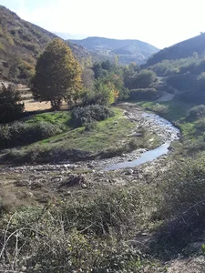 فارسیان