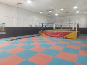هیئت بوکس بندرانزلی 4
