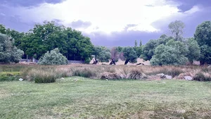 چشمه چال بابا شاه (چال بوشا)
