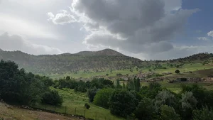 کاوند درویشان
