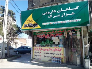 گیاهان دارویی صدیقی