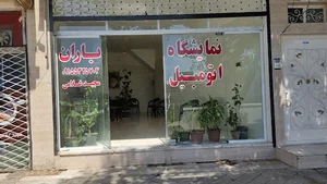 نمایشگاه اتومبیل باران