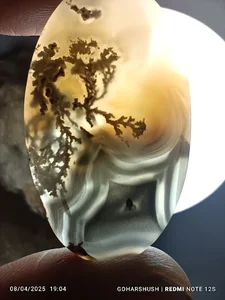 گالری گوهر شوش