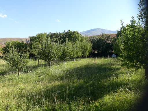 گیوره یئر روستای ارلان