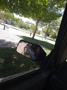 بوستان شقایق