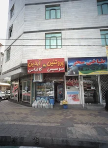 پروتئین آیدین