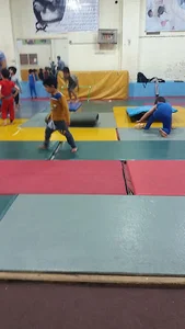 ورزشگاه 22 بهمن