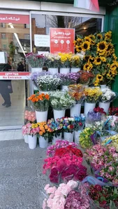 فروشگاه زنجیره ای شهروند بهرود 3