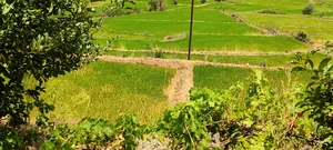 منطقه گردشگری نظرآباد.