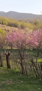 بانقلان‎