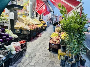 فروشگاه شبانه روزی باغ بهشت