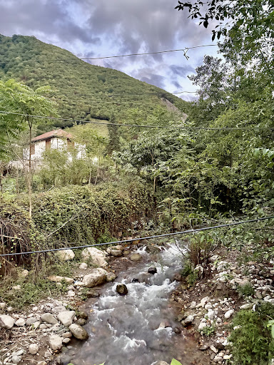 روستای لاویج